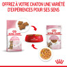 Royal canin Bouchées en gelée - Chaton, Stérilisé Faunelia