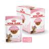 Royal canin Bouchées en sauce - Chaton, Stérilisé Faunelia