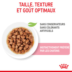 Royal canin Bouchées en sauce - Chaton, Stérilisé Faunelia