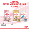 Royal canin Bouchées en sauce - Chaton, Stérilisé Faunelia