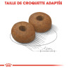 Royal canin Croquettes - Chien - Maxi - Mature Faunelia