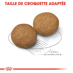 Royal canin Croquettes - Chien - Medium - Adulte Faunelia