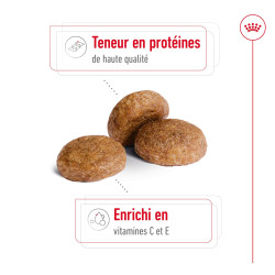 Royal canin Croquettes - Chien - Medium - Adulte 7+ Faunelia