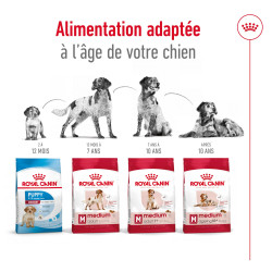 Royal canin Croquettes - Chien - Medium - Adulte 7+ Faunelia