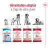 Royal canin Croquettes - Chien - Medium - Adulte 7+ Faunelia