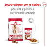 Royal canin Croquettes - Chien - Medium - Adulte 7+ Faunelia