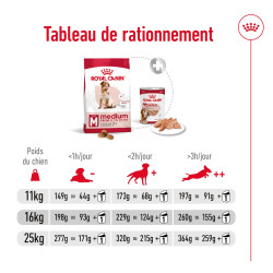 Royal canin Croquettes - Chien - Medium - Adulte 7+ Faunelia