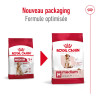 Royal canin Croquettes - Chien - Medium - Adulte 7+ Faunelia