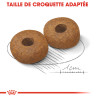 Royal canin Croquettes - Chien - Medium - Senior Faunelia