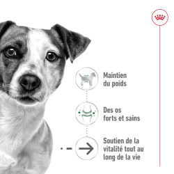 Royal canin Croquettes - Chien - Mini - Senior 12+ Faunelia