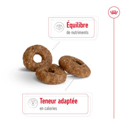 Royal canin Croquettes - Chien - Mini - Senior 12+ Faunelia