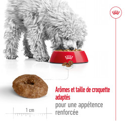 Royal canin Croquettes - Chien - Mini - Senior 12+ Faunelia