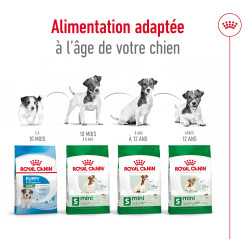 Royal canin Croquettes - Chien - Mini - Senior 12+ Faunelia