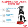 Royal canin Croquettes - Chien - Maxi - Chiot Faunelia