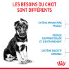 Royal canin Croquettes - Chien - Maxi - Chiot Faunelia