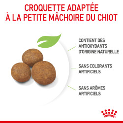 Royal canin Croquettes - Chien - Maxi - Chiot Faunelia