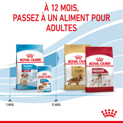 Royal canin Croquettes - Chien - Medium - Chiot Faunelia