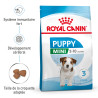 Royal canin Croquettes - Chien - Mini - Puppy - Stage 3 Faunelia