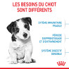 Royal canin Croquettes - Chien - Mini - Puppy - Stage 3 Faunelia