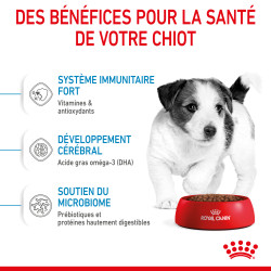 Royal canin Croquettes - Chien - Mini - Puppy - Stage 3 Faunelia