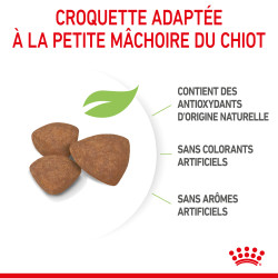 Royal canin Croquettes - Chien - Mini - Puppy - Stage 3 Faunelia