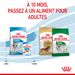 Royal canin Croquettes - Chien - Mini - Puppy - Stage 3 Faunelia