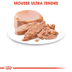 Royal canin Starter Mother & Babydog, Mousse pour chiot Faunelia