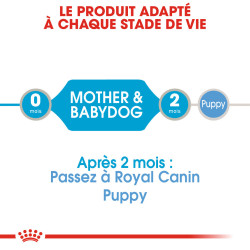 Royal canin Starter Mother & Babydog, Mousse pour chiot Faunelia