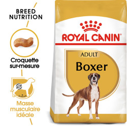 Croquettes pour Chien - Boxer - Adulte