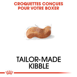 Royal canin Croquettes pour Chien - Boxer - Adulte Faunelia