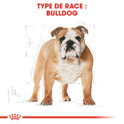 Royal canin Croquettes pour Chien - Bulldog - Adulte Faunelia