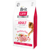 BRIT Brit Care - Croquettes - Chat, Adulte - Activity support Faunelia