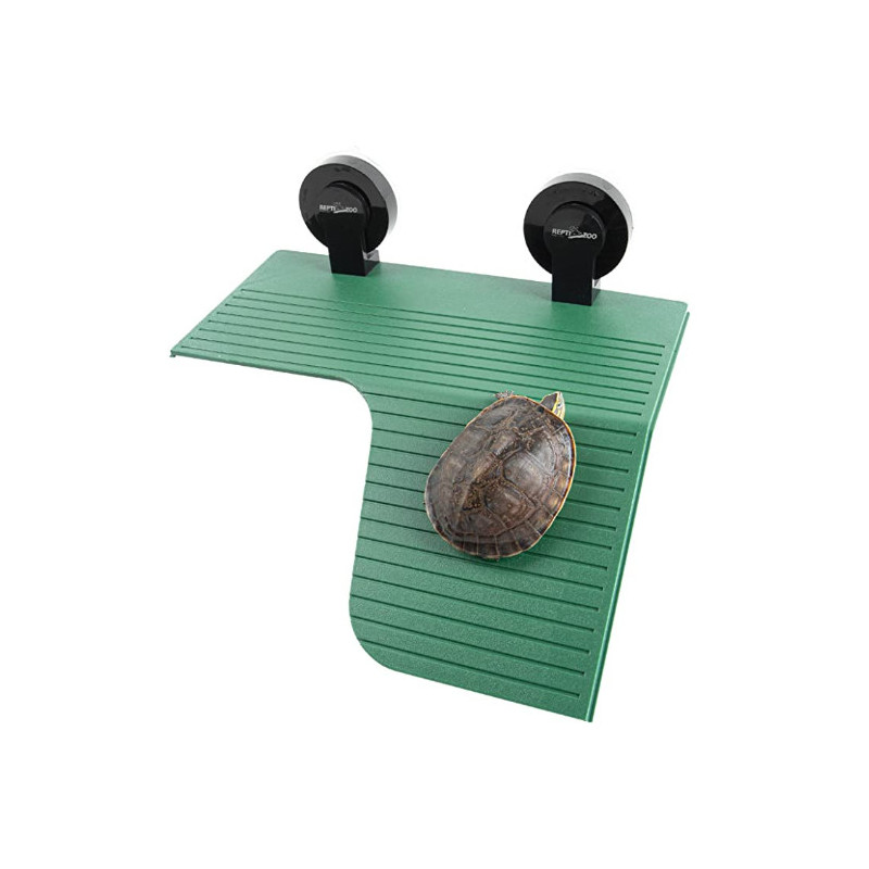 Reptizoo Terrasse pour tortue Faunelia