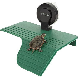 Reptizoo Terrasse pour tortue Faunelia