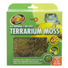 Zoomed Terrarium Moss - L Faunelia