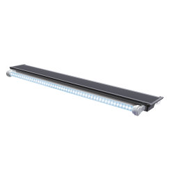 Eclairage LED | Faunelia