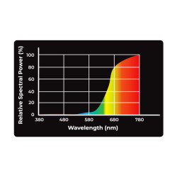 REPTILE NOVA UVA heating bulb - INRARED Faunelia