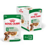 Royal canin Patée pour chien - Adulte - En sauce Faunelia