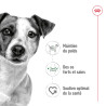 Royal canin Patée pour chien - Adulte - En sauce Faunelia