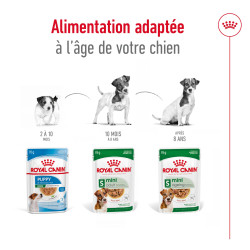 Royal canin Patée pour chien - Adulte - En sauce Faunelia