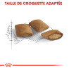 Royal canin Croquettes pour Chat - Ageing 12+ Faunelia