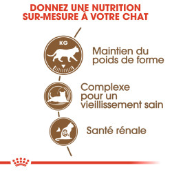 Royal canin Croquettes pour Chat, Stérilisé - Ageing +12ans Faunelia