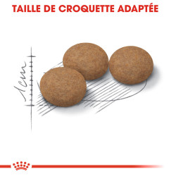 Royal canin Croquettes pour Chat, Stérilisé - Ageing +12ans Faunelia