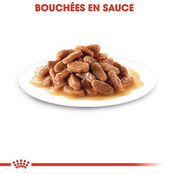 Royal canin Bouchées en sauce - Chaton Faunelia