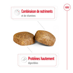 Royal canin Croquettes - Chien - Giant - Adulte Faunelia