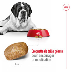 Royal canin Croquettes - Chien - Giant - Adulte Faunelia