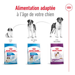 Royal canin Croquettes - Chien - Giant - Adulte Faunelia