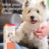 Beaphar Solution contre les traces de larmes - Chien et Chat Faunelia