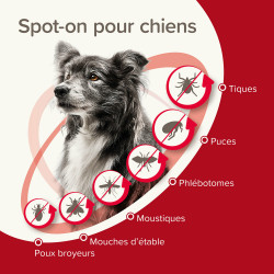 Beaphar ProtecTix® - Solution pour spot-on - Chien Faunelia