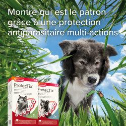 Beaphar ProtecTix® - Solution pour spot-on - Chien Faunelia